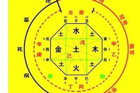 月柱查詢|生辰八字算命、五行喜用神查詢（免費測算）